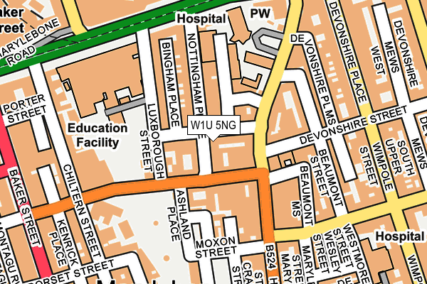 W1U 5NG map - OS OpenMap – Local (Ordnance Survey)