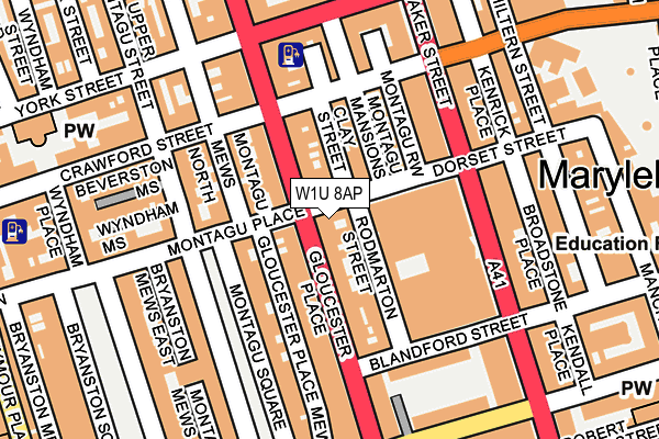 W1U 8AP map - OS OpenMap – Local (Ordnance Survey)