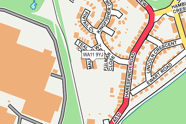 WA11 9YJ map - OS OpenMap – Local (Ordnance Survey)