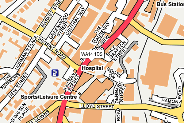WA14 1DS map - OS OpenMap – Local (Ordnance Survey)
