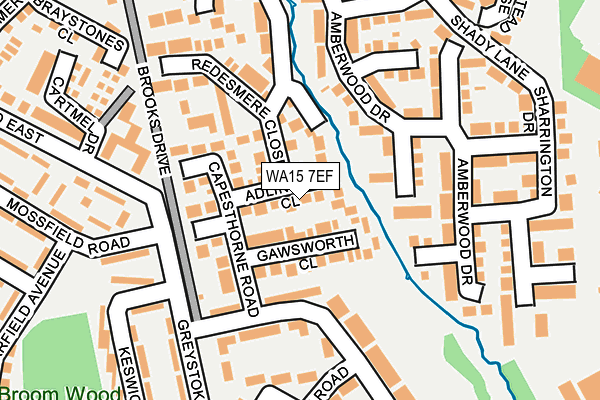 WA15 7EF map - OS OpenMap – Local (Ordnance Survey)