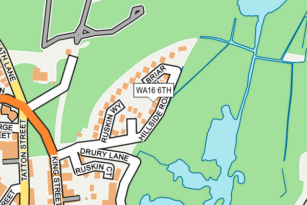 WA16 6TH map - OS OpenMap – Local (Ordnance Survey)