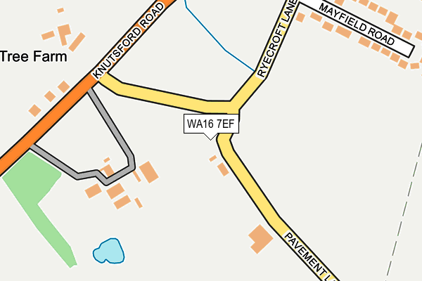 WA16 7EF map - OS OpenMap – Local (Ordnance Survey)