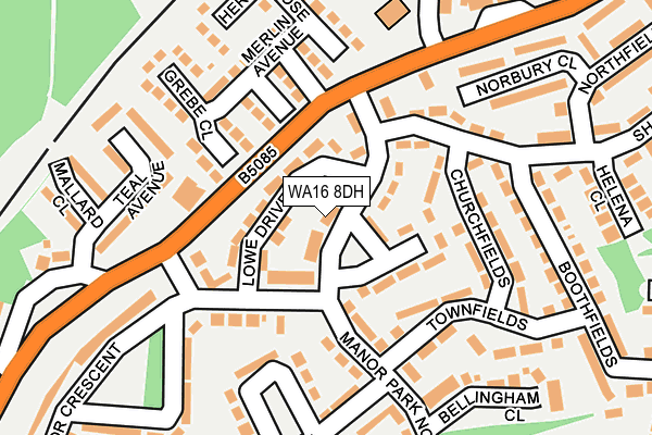 WA16 8DH map - OS OpenMap – Local (Ordnance Survey)