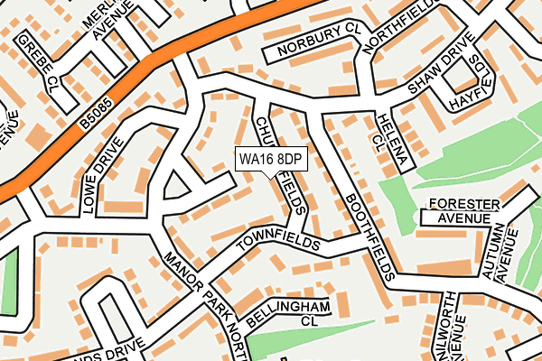 WA16 8DP map - OS OpenMap – Local (Ordnance Survey)