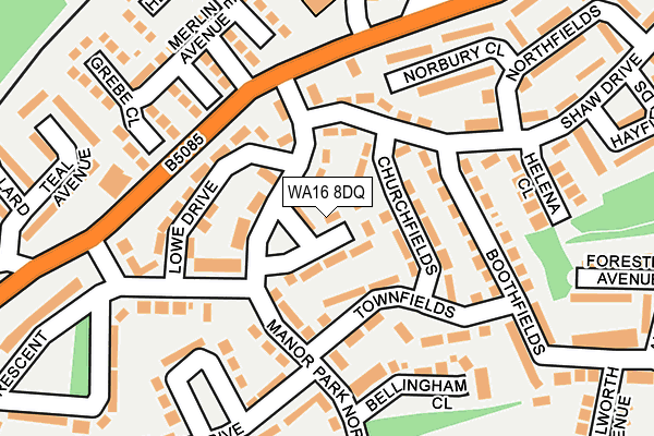 WA16 8DQ map - OS OpenMap – Local (Ordnance Survey)