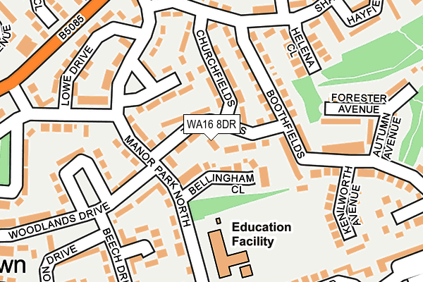 WA16 8DR map - OS OpenMap – Local (Ordnance Survey)