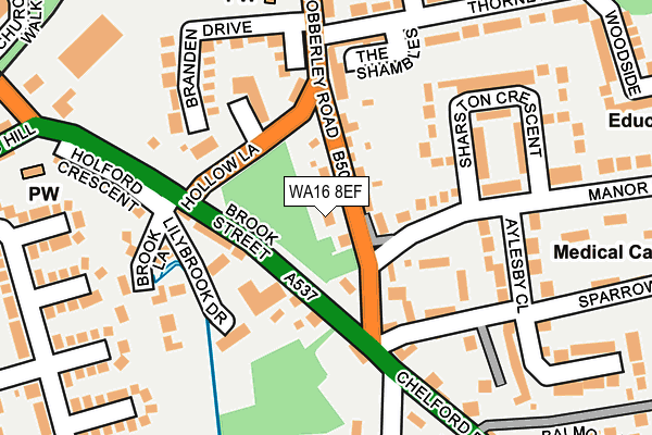 WA16 8EF map - OS OpenMap – Local (Ordnance Survey)