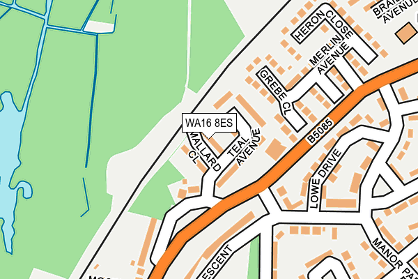 WA16 8ES map - OS OpenMap – Local (Ordnance Survey)