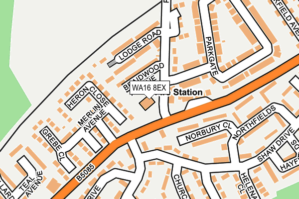 WA16 8EX map - OS OpenMap – Local (Ordnance Survey)