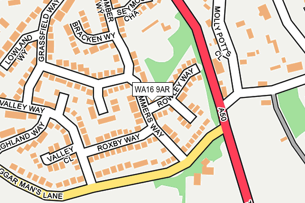 WA16 9AR map - OS OpenMap – Local (Ordnance Survey)
