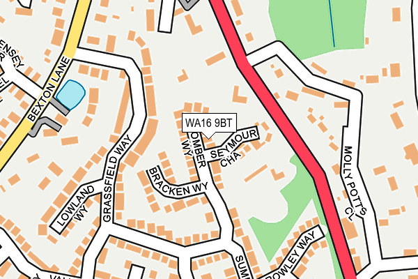 WA16 9BT map - OS OpenMap – Local (Ordnance Survey)