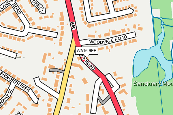 WA16 9EF map - OS OpenMap – Local (Ordnance Survey)