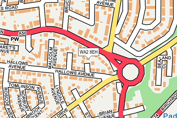 WA2 8EH map - OS OpenMap – Local (Ordnance Survey)