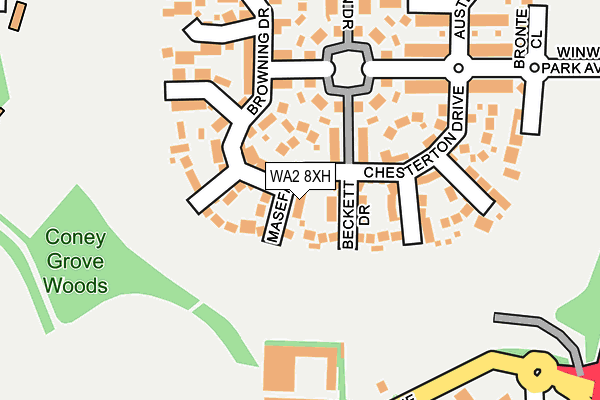 WA2 8XH map - OS OpenMap – Local (Ordnance Survey)