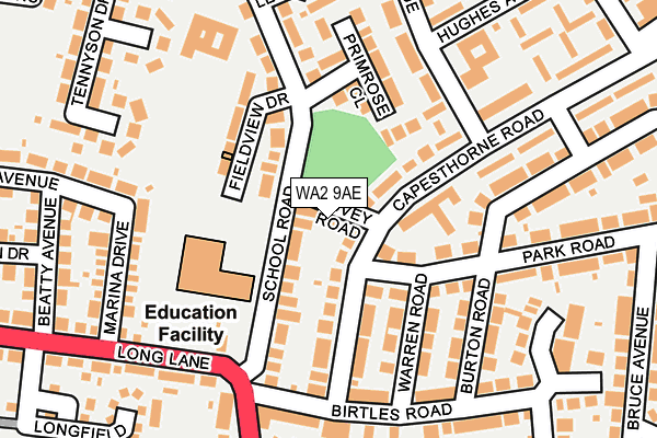 WA2 9AE map - OS OpenMap – Local (Ordnance Survey)