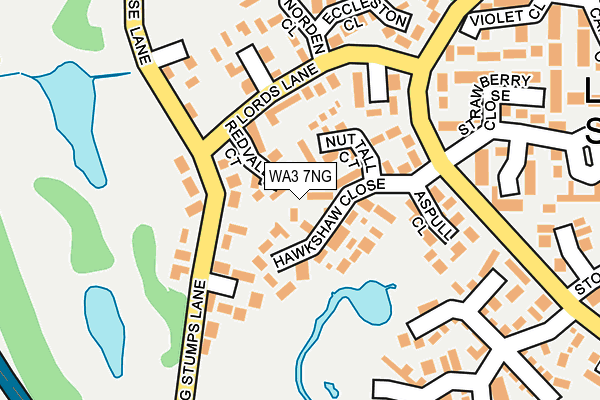 WA3 7NG map - OS OpenMap – Local (Ordnance Survey)