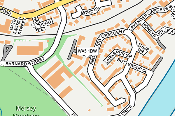 WA5 1DW map - OS OpenMap – Local (Ordnance Survey)