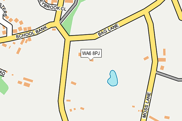 WA6 8PJ map - OS OpenMap – Local (Ordnance Survey)
