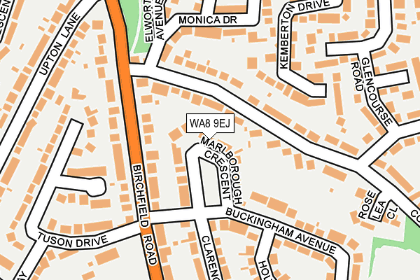 WA8 9EJ map - OS OpenMap – Local (Ordnance Survey)