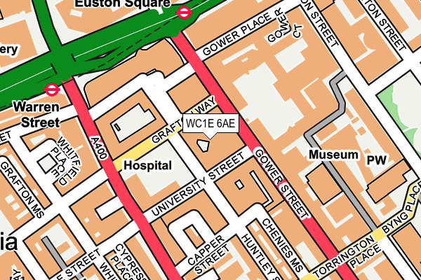 WC1E 6AE map - OS OpenMap – Local (Ordnance Survey)