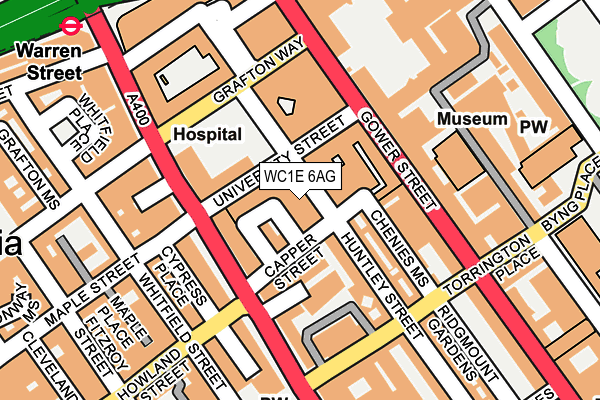 WC1E 6AG map - OS OpenMap – Local (Ordnance Survey)