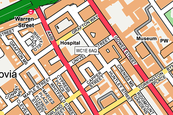 WC1E 6AQ map - OS OpenMap – Local (Ordnance Survey)