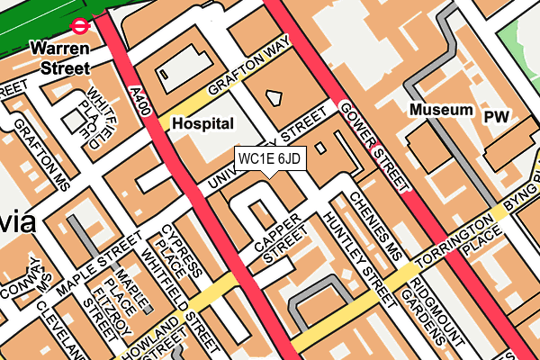 WC1E 6JD map - OS OpenMap – Local (Ordnance Survey)