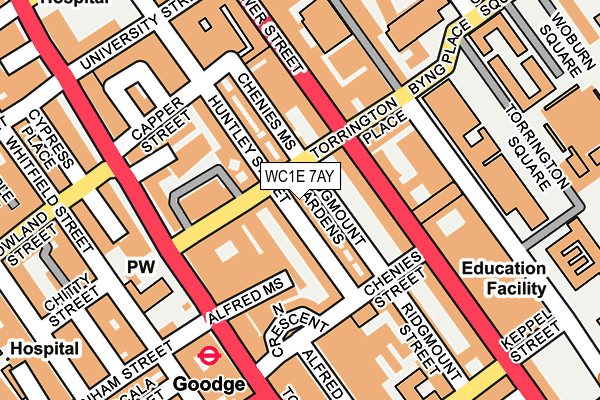WC1E 7AY map - OS OpenMap – Local (Ordnance Survey)
