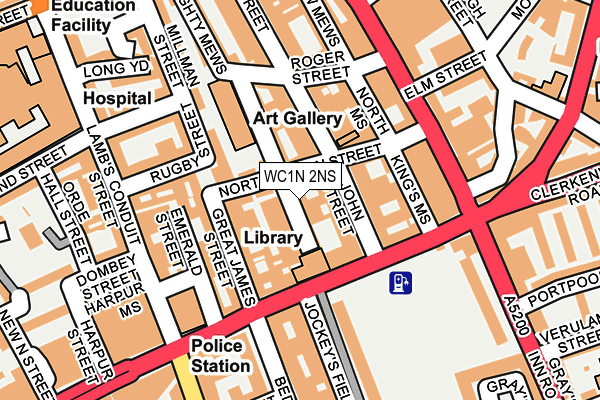 WC1N 2NS map - OS OpenMap – Local (Ordnance Survey)