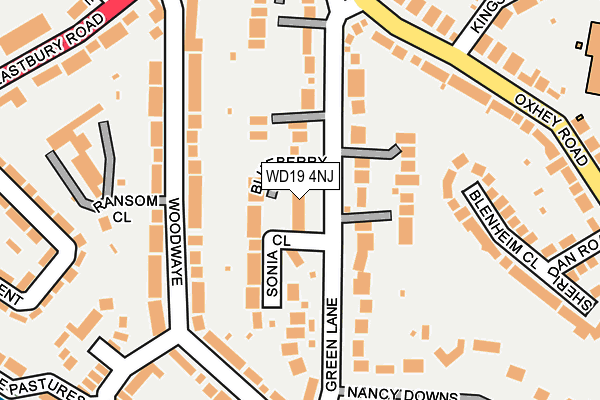 WD19 4NJ map - OS OpenMap – Local (Ordnance Survey)