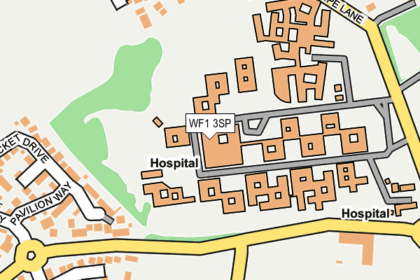 WF1 3SP map - OS OpenMap – Local (Ordnance Survey)