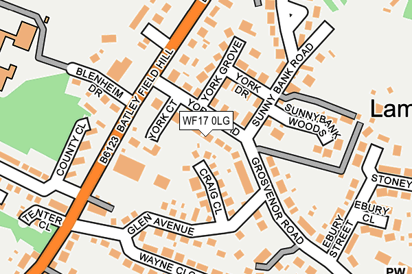 WF17 0LG map - OS OpenMap – Local (Ordnance Survey)