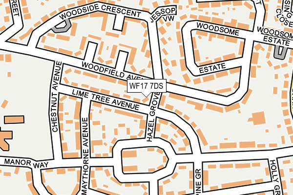 WF17 7DS map - OS OpenMap – Local (Ordnance Survey)