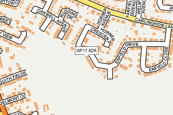 WF17 8DR map - OS OpenMap – Local (Ordnance Survey)
