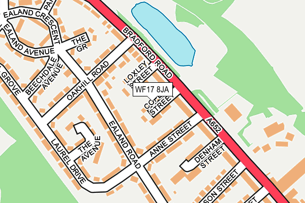 WF17 8JA map - OS OpenMap – Local (Ordnance Survey)