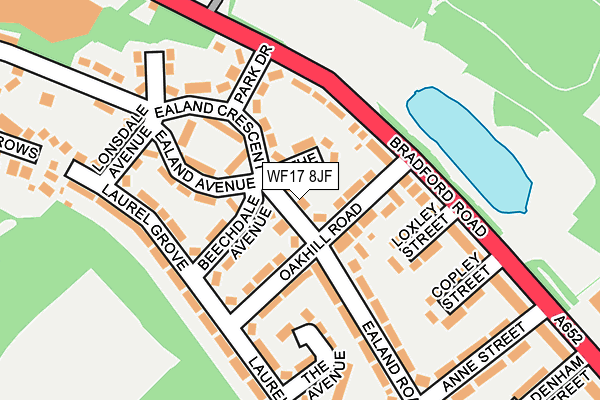 WF17 8JF map - OS OpenMap – Local (Ordnance Survey)