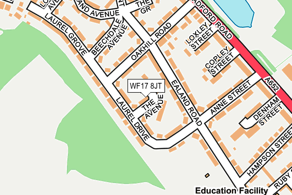WF17 8JT map - OS OpenMap – Local (Ordnance Survey)