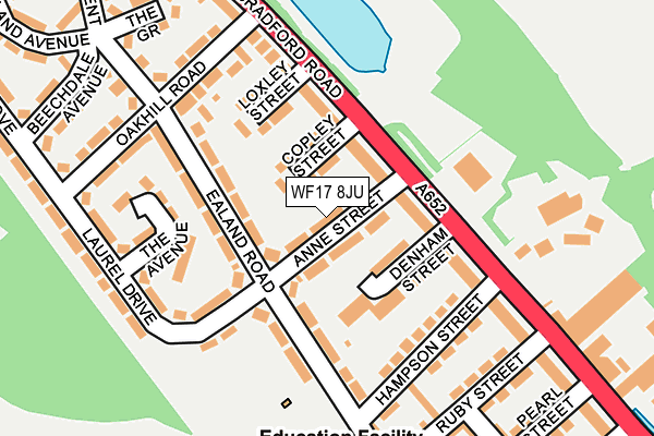 WF17 8JU map - OS OpenMap – Local (Ordnance Survey)