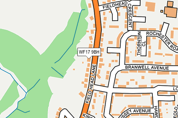 WF17 9BH map - OS OpenMap – Local (Ordnance Survey)