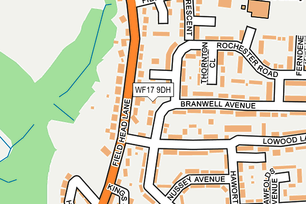 WF17 9DH map - OS OpenMap – Local (Ordnance Survey)