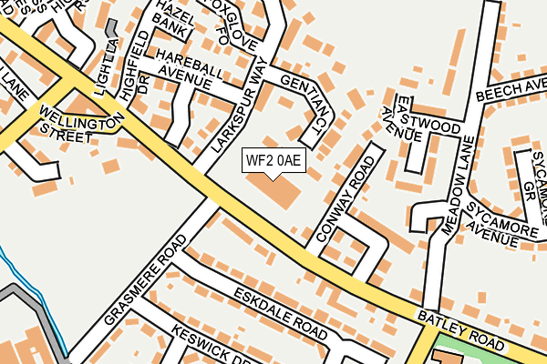 WF2 0AE map - OS OpenMap – Local (Ordnance Survey)