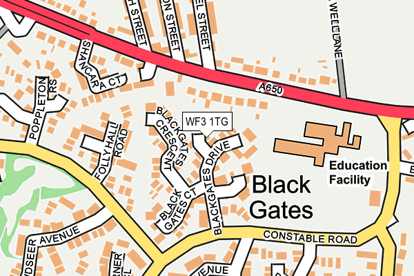 WF3 1TG map - OS OpenMap – Local (Ordnance Survey)
