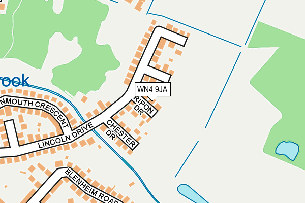 WN4 9JA map - OS OpenMap – Local (Ordnance Survey)