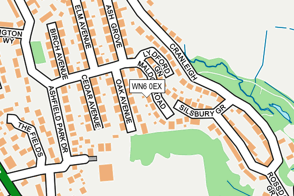 WN6 0EX map - OS OpenMap – Local (Ordnance Survey)