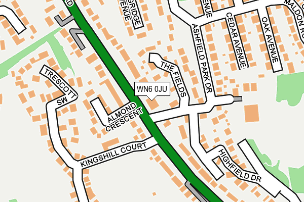 WN6 0JU map - OS OpenMap – Local (Ordnance Survey)