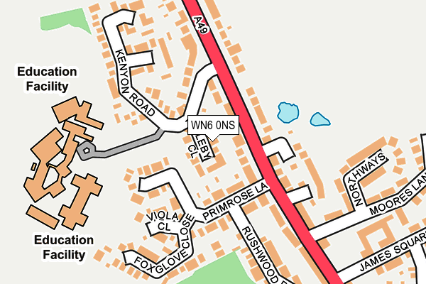 WN6 0NS map - OS OpenMap – Local (Ordnance Survey)