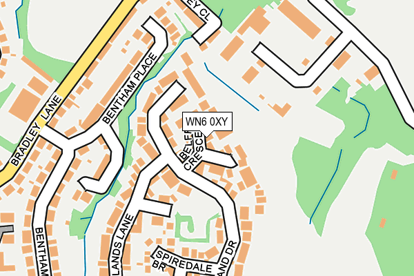 WN6 0XY map - OS OpenMap – Local (Ordnance Survey)