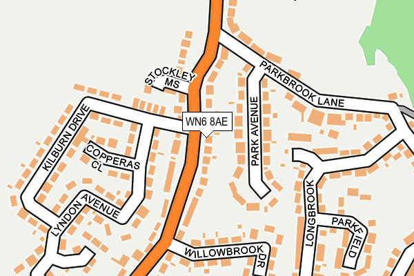 WN6 8AE map - OS OpenMap – Local (Ordnance Survey)