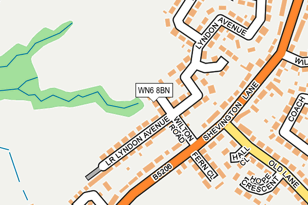 WN6 8BN map - OS OpenMap – Local (Ordnance Survey)